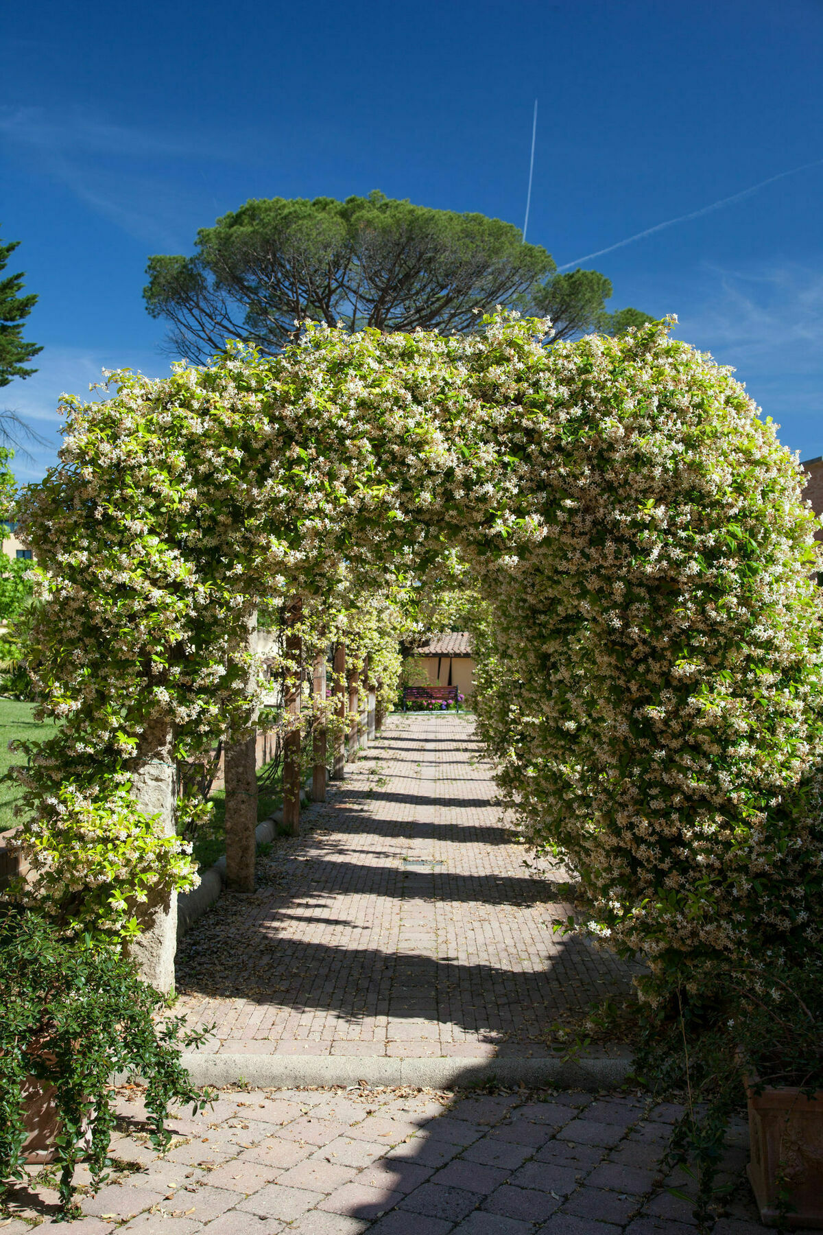 Villa Borri سبا كاسكيانا تيرم المظهر الخارجي الصورة